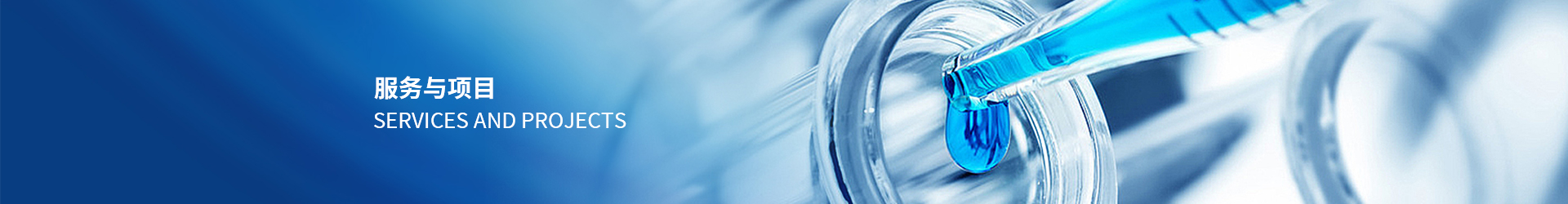 服务与项目